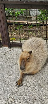 沖縄こどもの国に投稿された画像（2025/2/22）