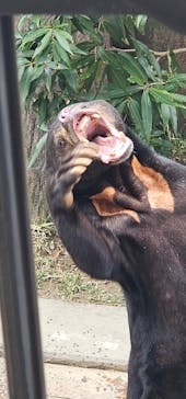 沖縄こどもの国に投稿された画像（2025/2/22）