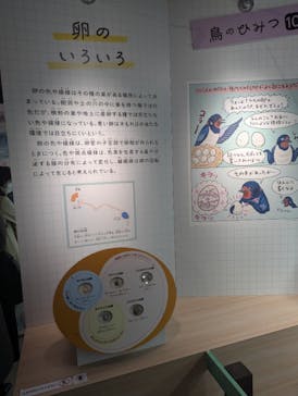 特別展「鳥 ～ゲノム解析が解き明かす新しい鳥類の系統～」国立科学博物館に投稿された画像（2025/2/22）