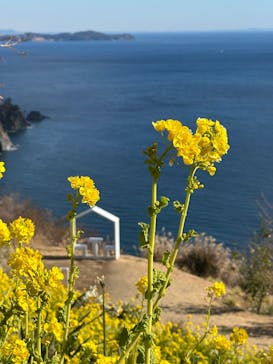 ACAO FORESTに投稿された画像（2025/2/22）