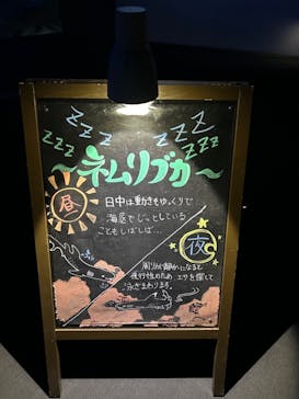 アクアワールド茨城県大洗水族館に投稿された画像（2025/2/22）