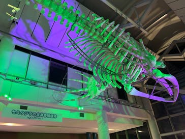 アクアワールド茨城県大洗水族館に投稿された画像（2025/2/22）