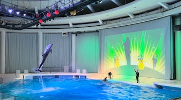 アクアワールド茨城県大洗水族館に投稿された画像（2025/2/22）
