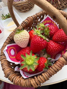 ニューベリーに投稿された画像（2025/2/22）