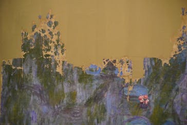 モネ 睡蓮のとき（国立西洋美術館）に投稿された画像（2025/2/22）