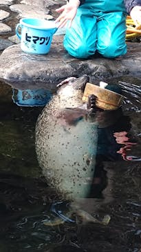 箱根園水族館に投稿された画像（2025/2/22）