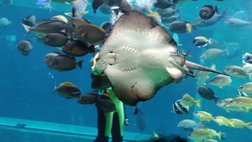 箱根園水族館に投稿された画像（2025/2/22）