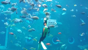 箱根園水族館に投稿された画像（2025/2/22）