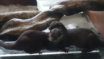 箱根園水族館に投稿された画像（2025/2/22）