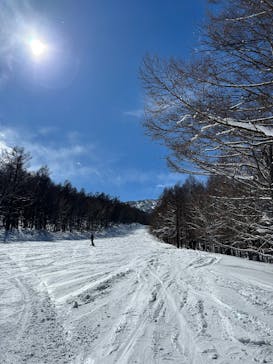 安比高原スキー場に投稿された画像（2025/2/22）