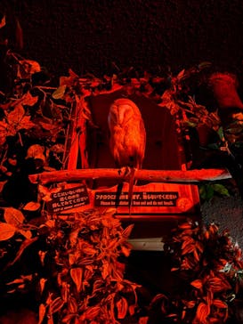 神戸どうぶつ王国に投稿された画像（2025/2/22）