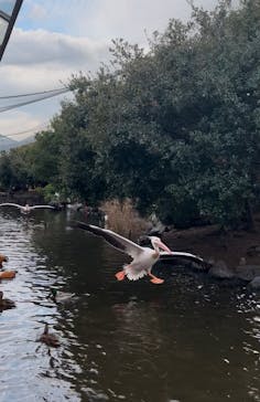 神戸どうぶつ王国に投稿された画像（2025/2/22）