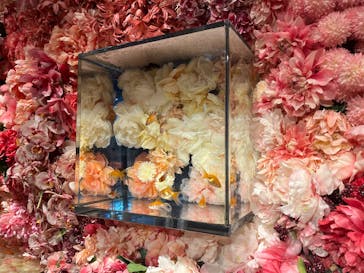 NARA IKIMONO MUSEUMに投稿された画像（2025/2/22）