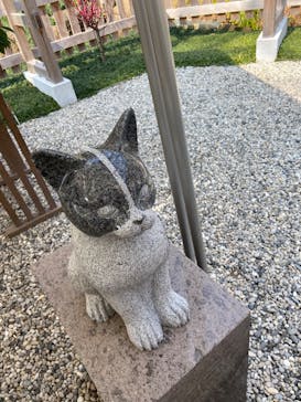 仙巌園に投稿された画像（2025/2/22）