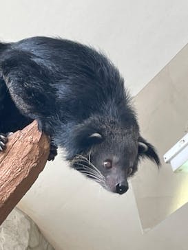 那須どうぶつ王国に投稿された画像（2025/2/22）