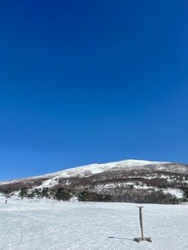 菅平高原スノーリゾートに投稿された画像（2025/2/22）