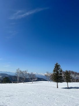 菅平高原スノーリゾートに投稿された画像（2025/2/22）