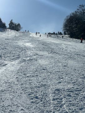 菅平高原スノーリゾートに投稿された画像（2025/2/22）