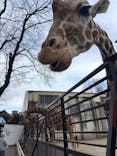 宇都宮動物園に投稿された画像（2025/2/22）