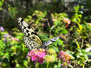 多摩動物公園に投稿された画像（2025/2/22）