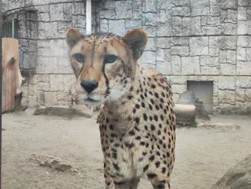 多摩動物公園に投稿された画像（2025/2/22）