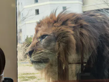 多摩動物公園に投稿された画像（2025/2/22）