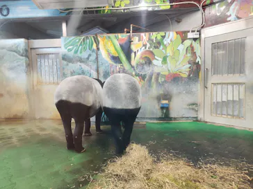 多摩動物公園に投稿された画像（2025/2/22）