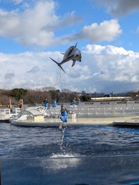京都水族館に投稿された画像（2025/2/22）