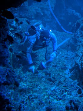 京都水族館に投稿された画像（2025/2/22）
