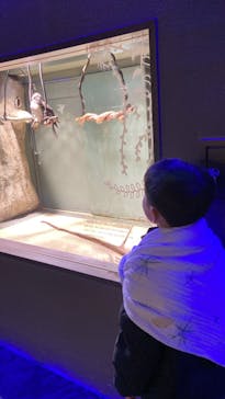 カワスイ 川崎⽔族館に投稿された画像（2025/2/22）