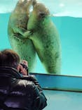 下田海中水族館に投稿された画像（2025/2/23）