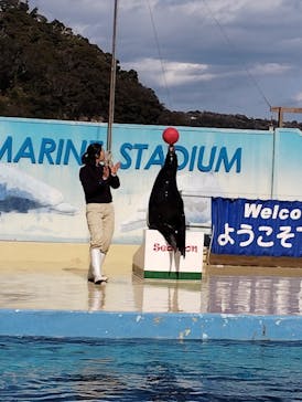 下田海中水族館に投稿された画像（2025/2/22）
