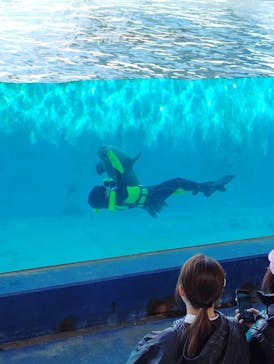 下田海中水族館に投稿された画像（2025/2/22）