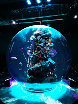 AQUARIUM × ART　atoaに投稿された画像（2025/2/22）