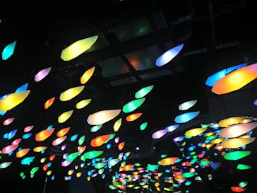 AQUARIUM × ART　atoaに投稿された画像（2025/2/22）