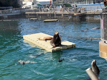 伊豆・三津シーパラダイスに投稿された画像（2025/2/22）