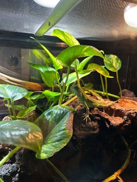 体感型動物園iZooに投稿された画像（2025/2/22）