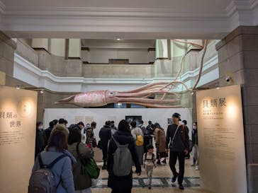 国立科学博物館に投稿された画像（2025/2/22）