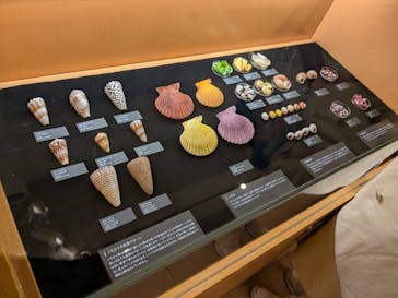 国立科学博物館に投稿された画像（2025/2/22）