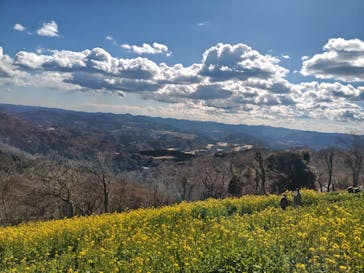 マザー牧場に投稿された画像（2025/2/22）