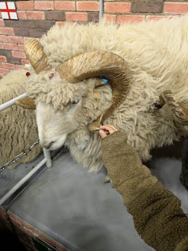 マザー牧場に投稿された画像（2025/2/22）