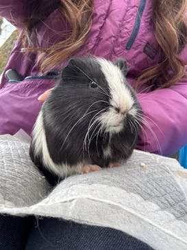 宇都宮動物園に投稿された画像（2025/2/23）
