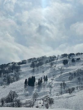 シャルマン火打スキー場に投稿された画像（2025/2/23）