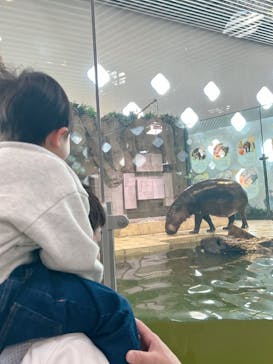 NIFREL（ニフレル）に投稿された画像（2025/2/23）