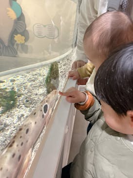 NIFREL（ニフレル）に投稿された画像（2025/2/23）