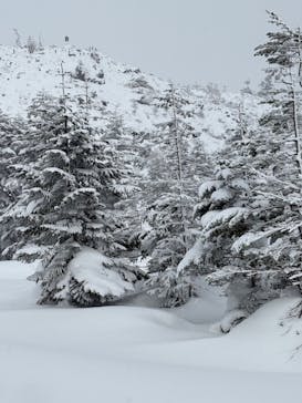 北八ヶ岳ロープウェイに投稿された画像（2025/2/23）