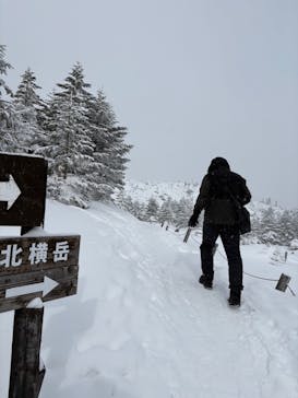 北八ヶ岳ロープウェイに投稿された画像（2025/2/23）