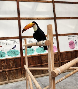 掛川花鳥園に投稿された画像（2025/2/23）