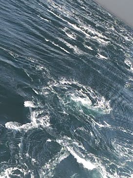 徳島県立 渦の道に投稿された画像（2025/2/23）