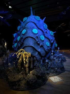 金曜ロードショーとジブリ展　三重展に投稿された画像（2025/2/23）